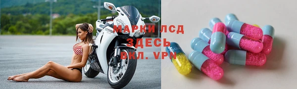ешки Чекалин