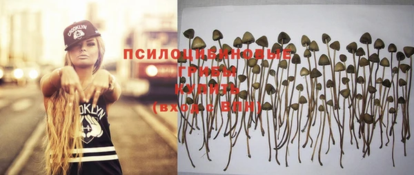 ешки Чекалин