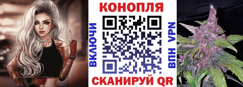 Бошки Шишки семена  Купить  Боготол 